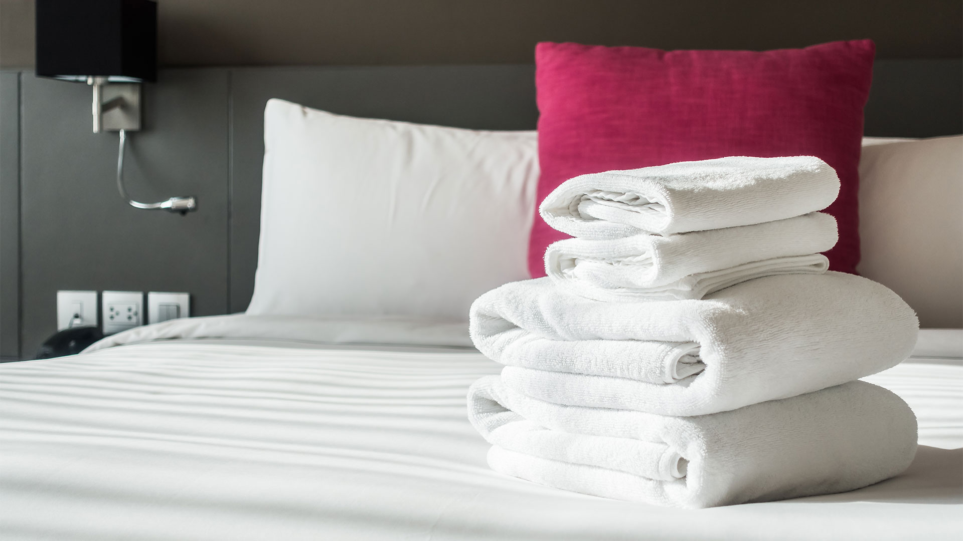 health-&-hospitality Staygiene